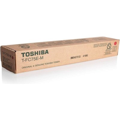 Toshiba 6AK00000253 - originální