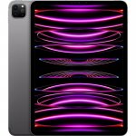 Apple iPad Pro 11 (2022) 256GB Wi-Fi + Cellular Space Grey MNYE3FD/A – Zboží Mobilmania