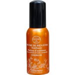 Elixirs & Co Les Fleurs de Bach Aura parfém - Energie 30 ml – Hledejceny.cz