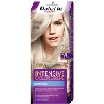 Pallete Intensive Color Creme C10 Ledový stříbřitě plavý barva na vlasy – Hledejceny.cz