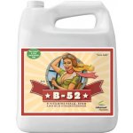 Advanced Nutrients B-52 1 l – Zboží Mobilmania