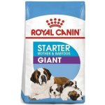 Royal Canin Giant Starter Mother & Baby Dog březí a kojící feny a štěňata 15 kg – Hledejceny.cz