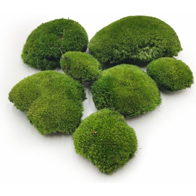 mech-mech.cz Ball Moss - kopečkový mech - tmavozelený - 200g - SWE – Hledejceny.cz