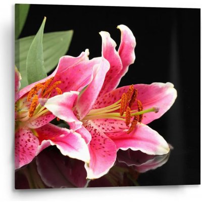 Sablio Obraz Lilie - 110x110 cm – Hledejceny.cz