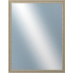 DANTIK LYON 70x90 cm stříbrná 2704 – Hledejceny.cz