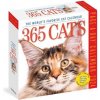Kalendář 365 Cats Page-A-Day 2024