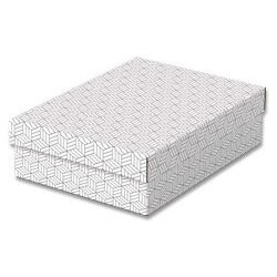 Esselte - úložný box - 265 x 360 x 100 mm, bílý, 3 ks