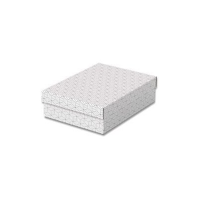 Esselte - úložný box - 265 x 360 x 100 mm, bílý, 3 ks – Hledejceny.cz