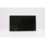 LCD displej-panel 15,6" IPS 1920x1080 Full HD 5D10W69517 – Zboží Živě