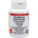 Sinecura Dioskorea huai shanyao prášek 20 g – Hledejceny.cz