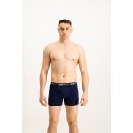 Lee Cooper pánské boxerky Printed mmodrá – Zbozi.Blesk.cz