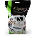 Irel Horse Silyfeed Basic 2 kg – Hledejceny.cz