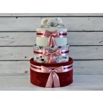 dortNEdort Třípatrový plenkový dort Is mušelínovými plenami pro holčičky Miminko se narodilo a jsou mu 3 měsíce – Zbozi.Blesk.cz