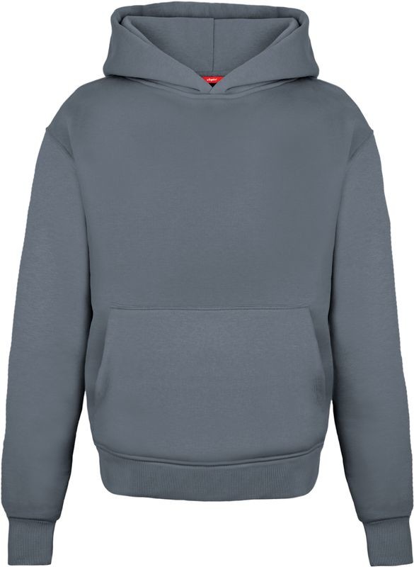 Vilgain Heavy Brushed Hoodie monument