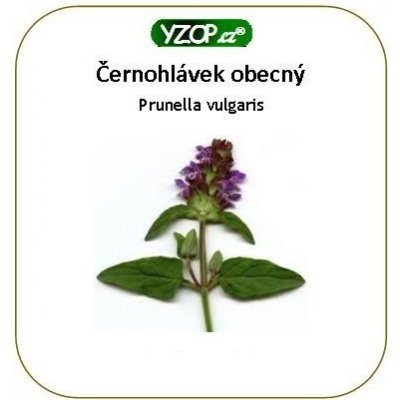 YZOP Černohlávek obecný 50 kapslí – Hledejceny.cz