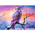 Castorland Castor Dokonalý večer se sovou 500 dílků – Hledejceny.cz