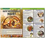Naše nejznámější houby - Naučné karty – Hledejceny.cz