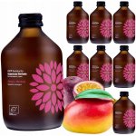 Vigo Kombucha mango a maracuja bio 330 ml – Zboží Dáma