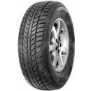 Fortune FSR9 225/45 R17 94V