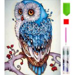RealG RC-K-003 diamantové malování sada 5D 15 x 20 cm barevná sova – Sleviste.cz