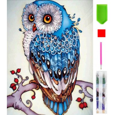 RealG RC-K-003 diamantové malování sada 5D 15 x 20 cm barevná sova – Sleviste.cz