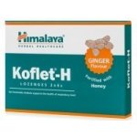 Himalaya Koflet H Ginger 12 pastilek – Hledejceny.cz