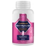 Altervet Cartilan MSM+kurkumin 130 g 100 tbl – HobbyKompas.cz