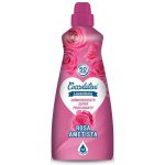 Coccolatevi Růžový ametyst aviváž 1250 ml 50 PD – Hledejceny.cz