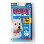 Ohlávka nylon Halti vel. 0 - trpasl. pudl jorkšír - The Company of Animals 79160 – Zboží Mobilmania