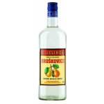 R. Jelínek Hruškovice 42% 1 l (holá láhev) – Hledejceny.cz