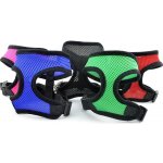 Surtep Animals Kšíry pro psa – Sleviste.cz