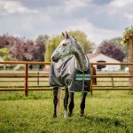 Amigo Deka výběhová Horseware Hero Ripstop blue navy – Zboží Mobilmania