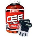 XXtreme Nutrition CEEM 240 kapslí – Hledejceny.cz