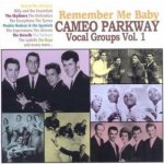 Various - Remember Me Baby - Cameo Parkway Vocal Groups Vol 1. CD – Hledejceny.cz