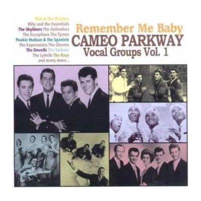 Various - Remember Me Baby - Cameo Parkway Vocal Groups Vol 1. CD – Zbozi.Blesk.cz