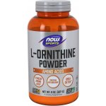 Now Foods L-Ornithine Powder prášek 227 g – Hledejceny.cz
