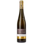 Wagner-Stempel Riesling Höllberg GG Rheinhessen 2022 0,75 l (holá láhev) – Hledejceny.cz