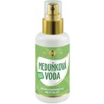 Purity Vision BIO Meduňková voda 100 ml – Zbozi.Blesk.cz