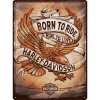 Obraz Nostalgic Art Plechová Cedule Harley-Davidson Born To Ride, Ride To Live