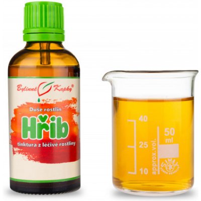 Bylinné kapky Hřib kapky Duše rostlin tinktura 50 ml – Hledejceny.cz