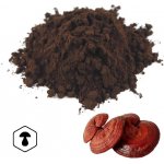 LifeChi Reishi Ganoderma lucidum spórový prášek 100 g – Hledejceny.cz