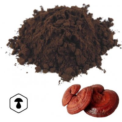 LifeChi Reishi Ganoderma lucidum spórový prášek 100 g – Hledejceny.cz