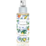 RYOR Citrus Spirit tělový suchý olej sprej 100 ml – Zboží Dáma