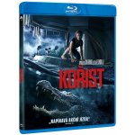 Kořist BD – Sleviste.cz