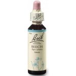 Bachovy květové esence Buk lesní Beech 20 ml – Hledejceny.cz
