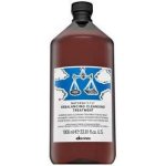 Davines Naturaltech Rebalancing Cleansing Treatment 1000 ml – Hledejceny.cz