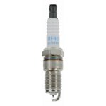 Zapalovací svíčka BorgWarner (BERU) Z209SB Z209SB – Hledejceny.cz