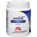 Superionherbs Hericium Erinaceus Extrakt 90 kapslí