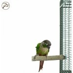 Back Zoo Nature Kameňák S/M – Zboží Dáma