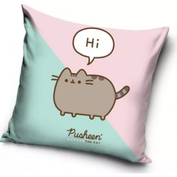 Carbotex Pusheen 40 x 40 cm